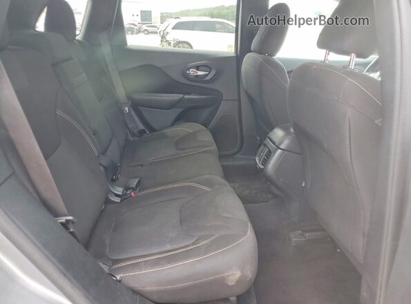 1C4PJLCB9GW171900 2016 JEEP CHEROKEE Silver Սալոնի հետևի տեսք