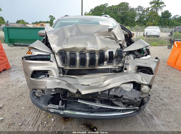 1C4PJLDB4HW626734 2017 JEEP CHEROKEE Champagne Սալոնի հետևի տեսք