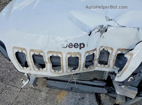 1C4PJLDB8LD502955 2020 JEEP CHEROKEE White Շարժիչի բաժամունքի տեսք