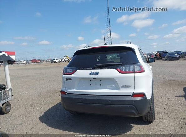 1C4PJLLB4KD490657 2019 JEEP CHEROKEE Белый 
