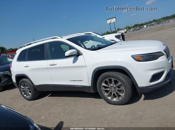 1C4PJLLB4KD490657 2019 JEEP CHEROKEE Белый Вид задней части салона