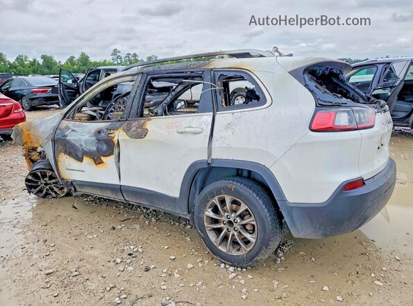 1C4PJLLB5LD570986 2020 JEEP CHEROKEE Белый Задняя левая четверть