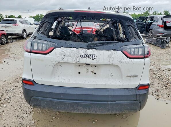 1C4PJLLB5LD570986 2020 JEEP CHEROKEE Белый Вид сзади