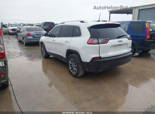 1C4PJLLB6MD154902 2021 JEEP CHEROKEE White უკანა მარცხენა