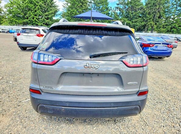 1C4PJLLB8KD392926 2019 JEEP CHEROKEE Silver Հետևի տեսք