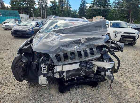 1C4PJLLB8KD392926 2019 JEEP CHEROKEE Silver Դիմացի տեսք