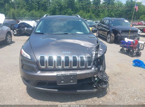 1C4PJLLB9JD519973 2018 JEEP CHEROKEE Gray Vista interior trasera