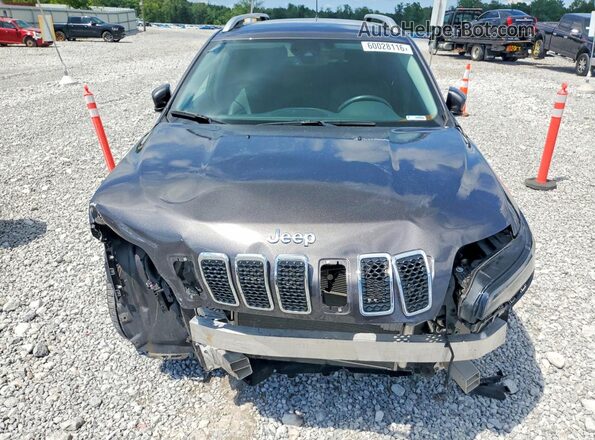 1C4PJLMX5MD141133 2021 JEEP CHEROKEE Gray Դիմացի տեսք
