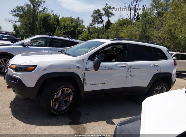 1C4PJMBN2KD148884 2019 JEEP CHEROKEE Белый Панорамный вид салона 360°