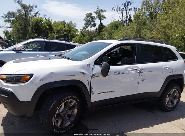 1C4PJMBN2KD148884 2019 JEEP CHEROKEE Белый 