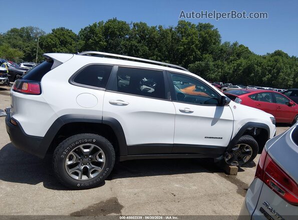1C4PJMBN2KD148884 2019 JEEP CHEROKEE Белый Вид задней части салона