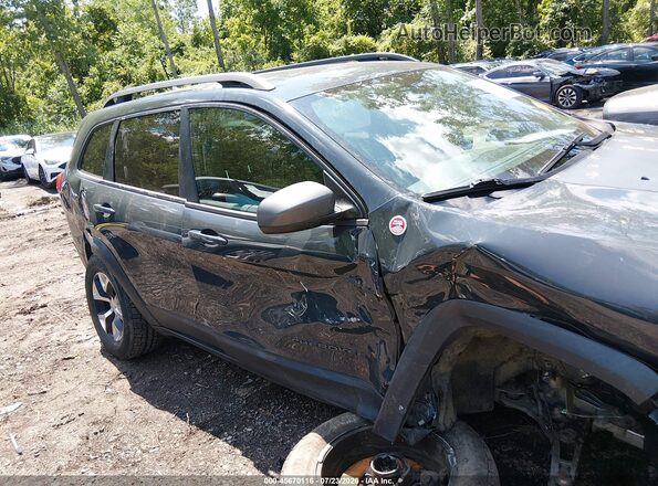 1C4PJMBS6HW510170 2017 JEEP CHEROKEE Серый Вид спереди