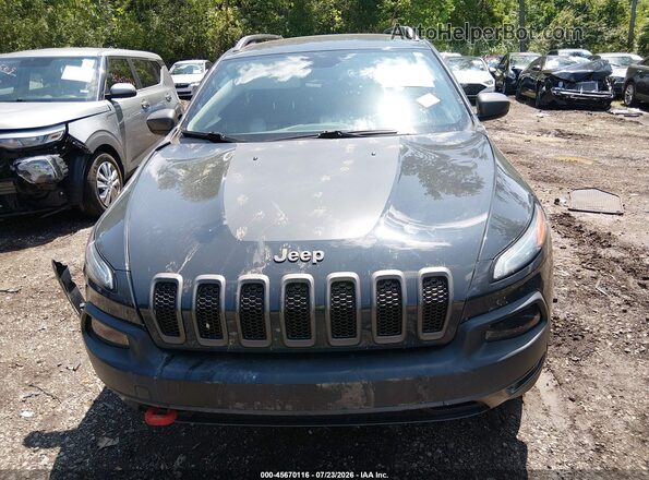 1C4PJMBS6HW510170 2017 JEEP CHEROKEE Серый Вид задней части салона