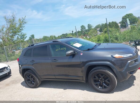 1C4PJMBS8GW103269 2016 JEEP CHEROKEE Gray Սալոնի հետևի տեսք