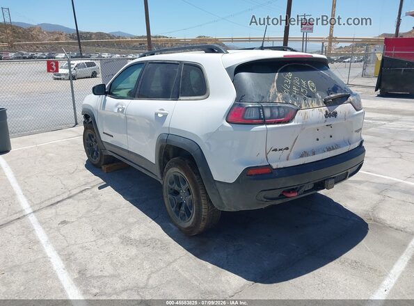 1C4PJMBX1ND521922 2022 JEEP CHEROKEE Белый Задняя левая четверть