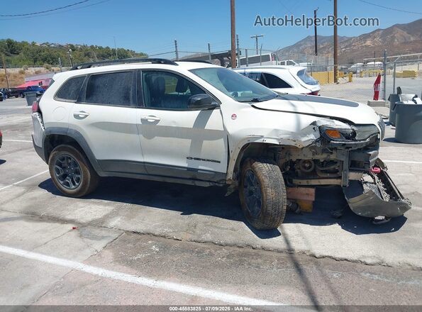 1C4PJMBX1ND521922 2022 JEEP CHEROKEE Белый Вид задней части салона