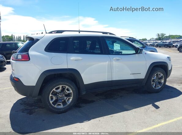 1C4PJMBX4KD185520 2019 JEEP CHEROKEE White Вид задньої частини салону