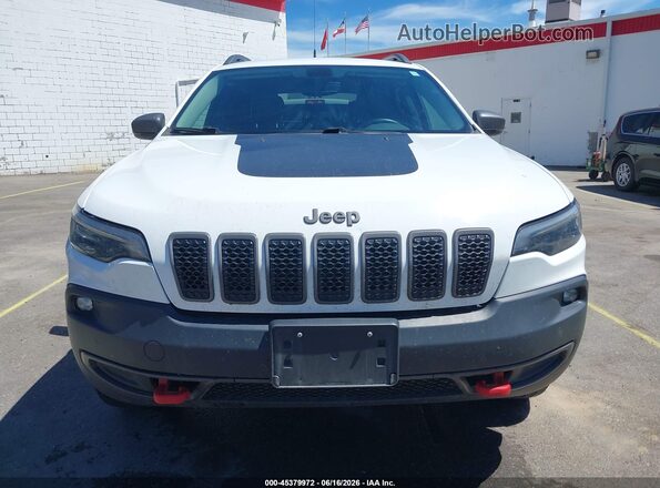 1C4PJMBX4KD185520 2019 JEEP CHEROKEE White Вид щитка приладів