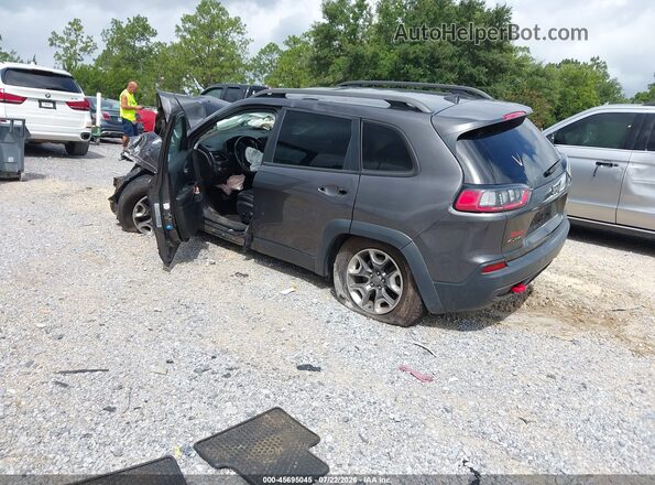 1C4PJMBXXKD253674 2019 JEEP CHEROKEE Gray Tył lewy