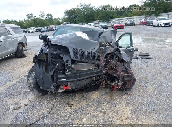 1C4PJMBXXKD253674 2019 JEEP CHEROKEE Gray Widok wnętrza z tyłu