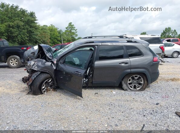 1C4PJMBXXKD253674 2019 JEEP CHEROKEE Gray 