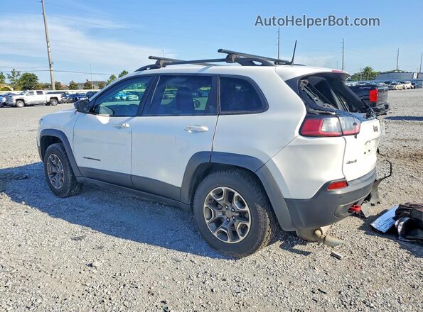 1C4PJMBXXLD572929 2020 JEEP CHEROKEE White Հետևի ձախ