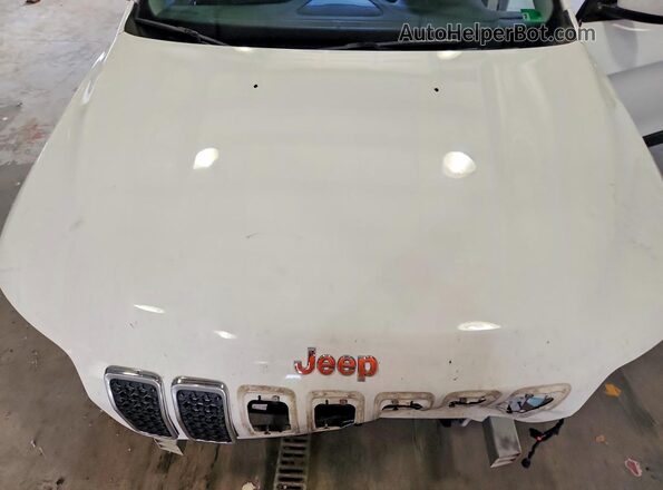 1C4PJMCB0LD533916 2020 JEEP CHEROKEE Белый Вид подкапотного пространства