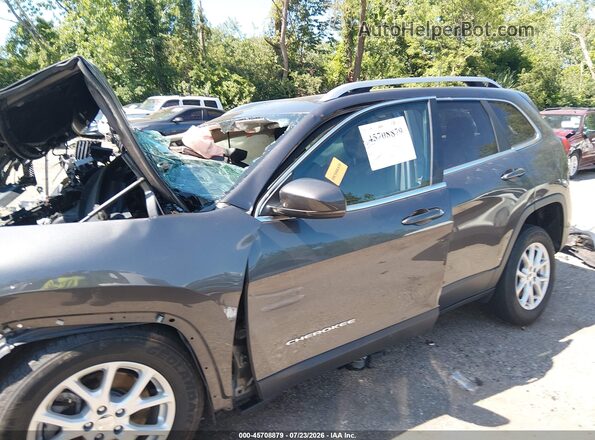 1C4PJMCB3GW372178 2016 JEEP CHEROKEE Gray Vista interior trasera