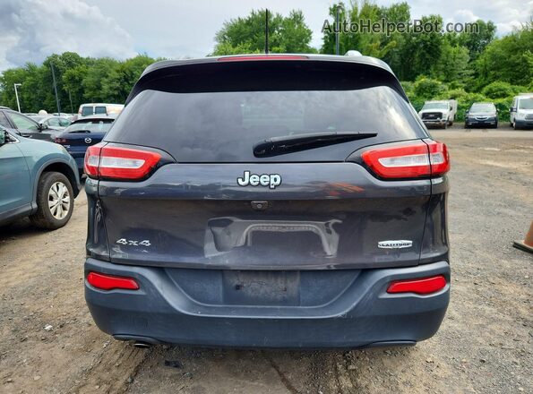 1C4PJMCB5HW545359 2017 JEEP CHEROKEE Gray Widok z tyłu
