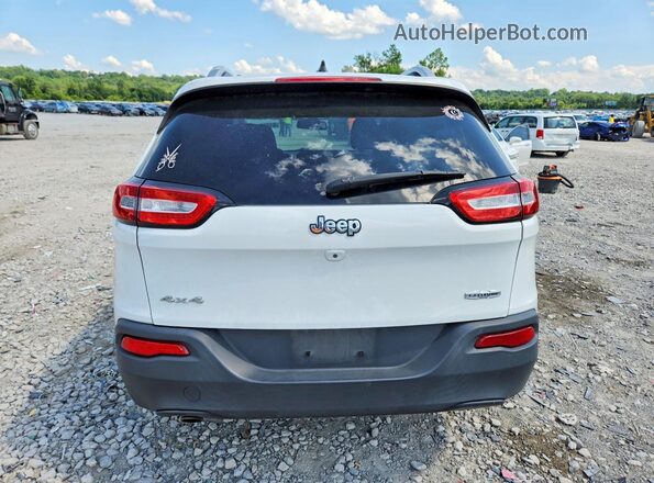 1C4PJMCB5HW556457 2017 JEEP CHEROKEE White Widok z tyłu