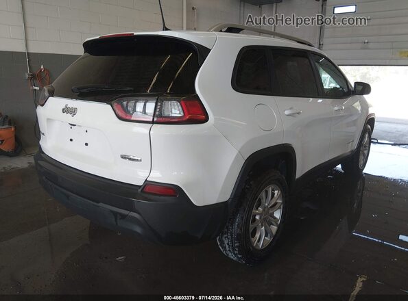 1C4PJMCB8LD516314 2020 JEEP CHEROKEE White უკანა მარჯვენა