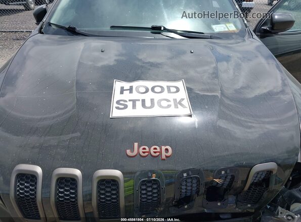 1C4PJMCS2HW512416 2017 JEEP CHEROKEE  Rear view