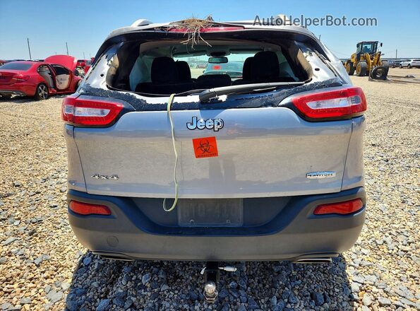1C4PJMCS2HW565598 2017 JEEP CHEROKEE Silver უკანა ხედი