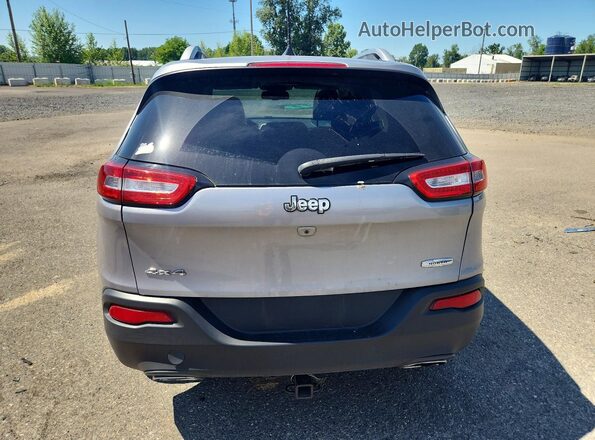 1C4PJMCS6HW634339 2017 JEEP CHEROKEE Silver უკანა ხედი