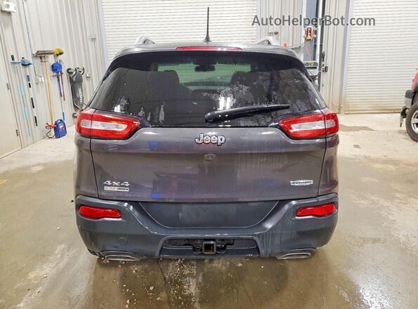 1C4PJMCSXHW651466 2017 JEEP CHEROKEE Серый Вид сзади