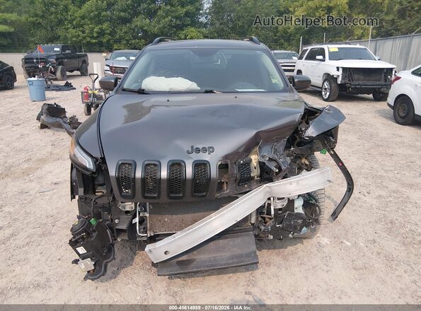 1C4PJMCX4JD600560 2018 JEEP CHEROKEE Серый Вид задней части салона