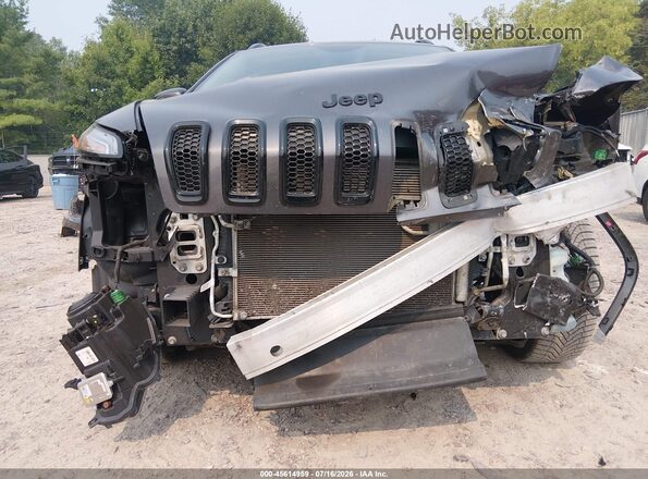 1C4PJMCX4JD600560 2018 JEEP CHEROKEE Серый 