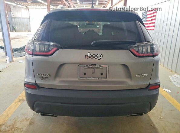 1C4PJMCX5KD281431 2019 JEEP CHEROKEE Silver Հետևի տեսք