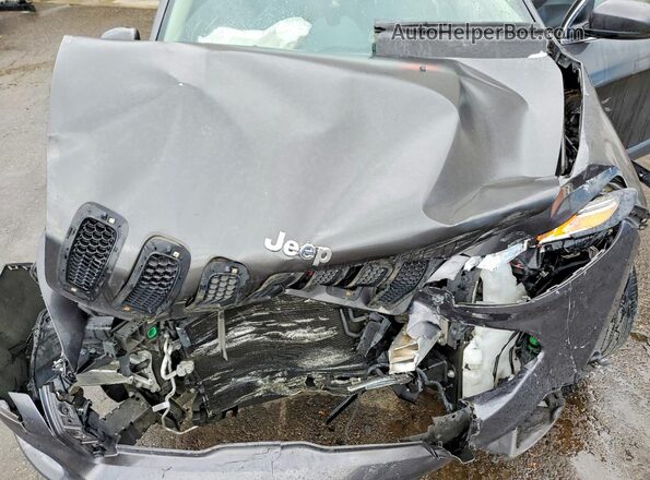 1C4PJMDB0HW524241 2017 JEEP CHEROKEE Gray ძრავის განყოფილების ხედი