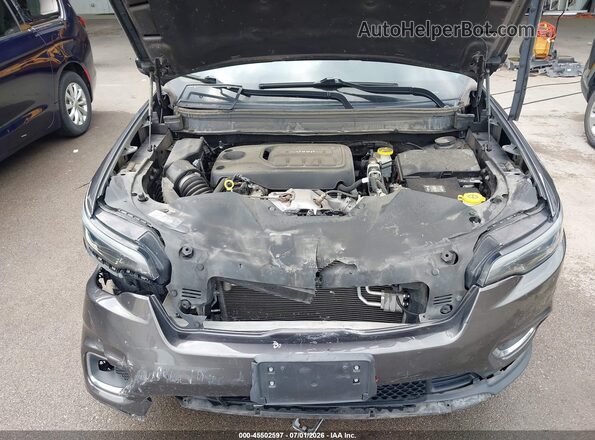 1C4PJMDN3LD537127 2020 JEEP CHEROKEE Gray Widok z tyłu