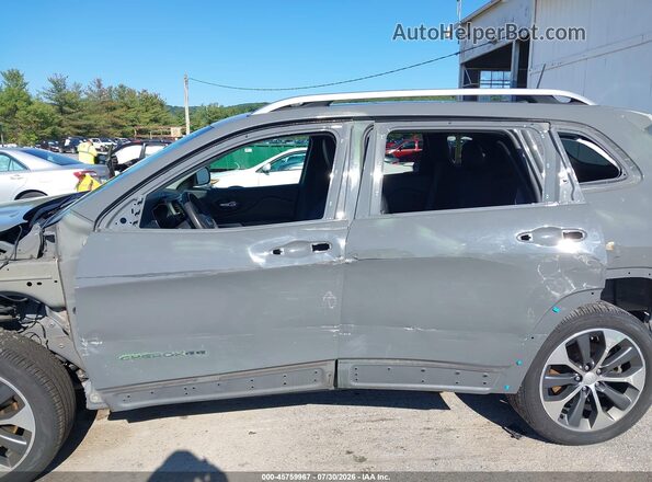 1C4PJMDN3MD237623 2021 JEEP CHEROKEE Серый 