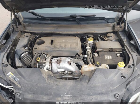 1C4PJMDN4LD544846 2020 JEEP CHEROKEE Серый Вид сзади