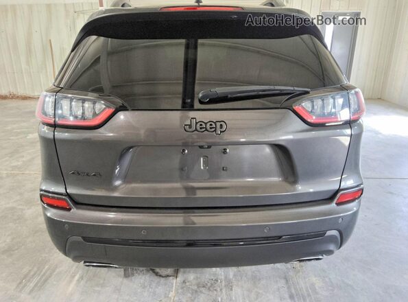 1C4PJMDN6LD554889 2020 JEEP CHEROKEE Gray Вид ззаду