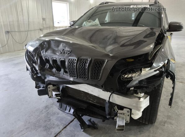 1C4PJMDN6LD554889 2020 JEEP CHEROKEE Gray Панорамний вид салону 360°