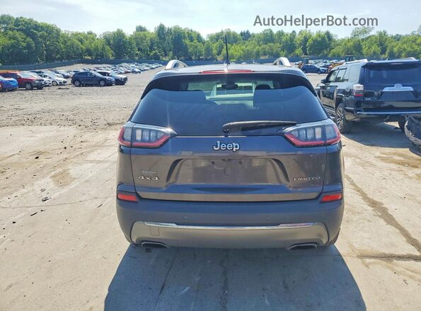 1C4PJMDN7KD191632 2019 JEEP CHEROKEE Gray უკანა ხედი