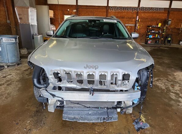 1C4PJMDN9KD180180 2019 JEEP CHEROKEE Silver Դիմացի տեսք