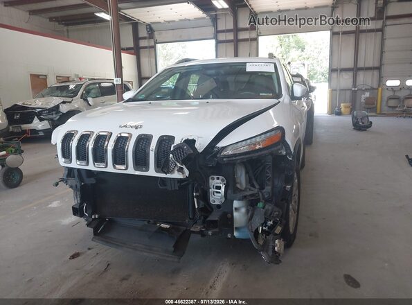 1C4PJMDS3GW196182 2016 JEEP CHEROKEE White Սալոնի հետևի տեսք