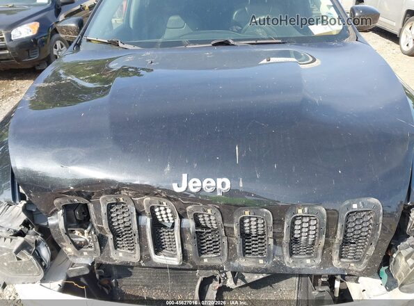 1C4PJMDS4GW219551 2016 JEEP CHEROKEE Black Вид ззаду