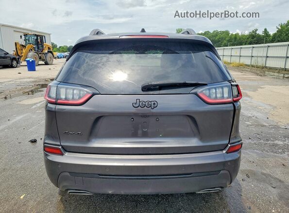 1C4PJMDX0KD354235 2019 JEEP CHEROKEE Gray Вид ззаду
