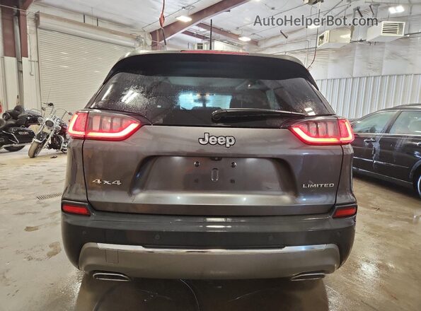 1C4PJMDX0LD562990 2020 JEEP CHEROKEE Gray Widok z tyłu